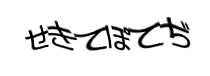 Authentication image